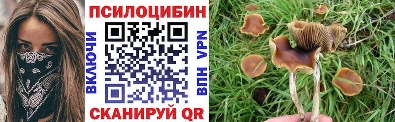 Галлюциногенные грибы ЛСД Гвардейск