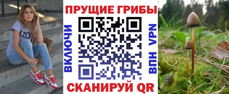 Псилоцибиновые грибы Psilocybine cubensis  hydra как зайти  Гвардейск 